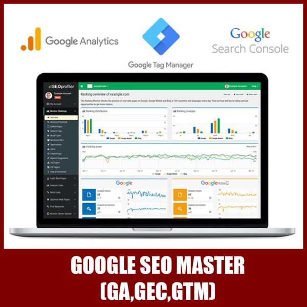 Google SEO Master (GA,GEC,GTM)